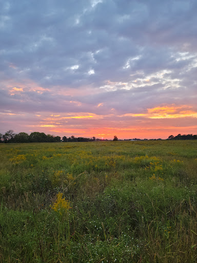 Oakwoods Nature Preserve Gallery - United States