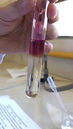 Facultad de Química | UDELAR - Floristería
