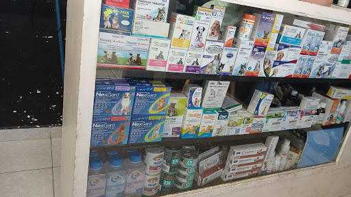 Clínica Veterinaria y Estética Canina Dr. Luna