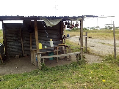 Photos of Malaa