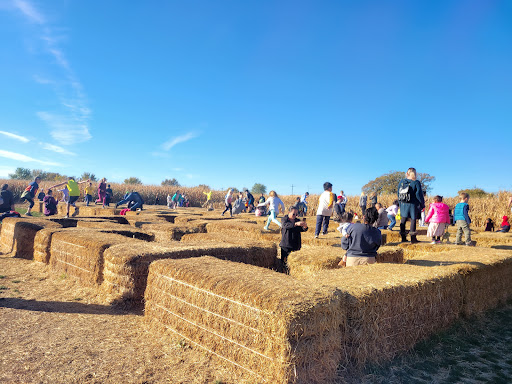 Twin Cities Maze - Thumbnail