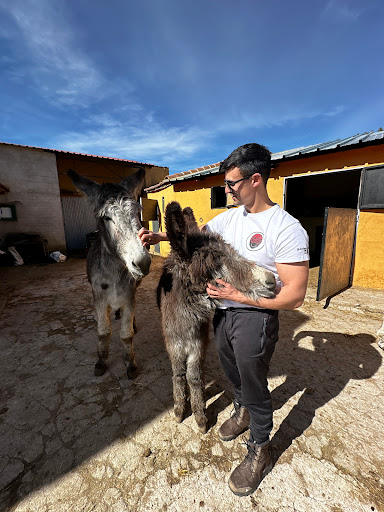 CABALGREDOS - Thumbnail