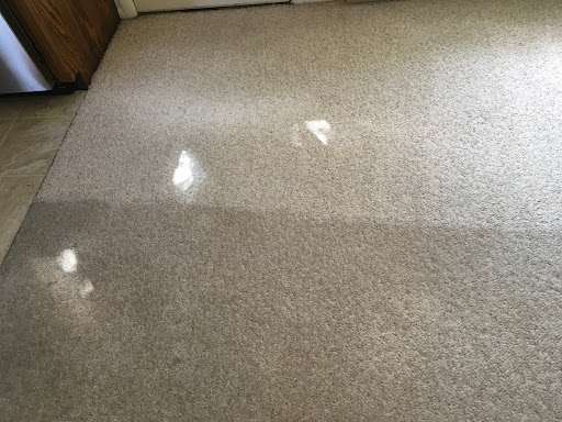 Oceanside Carpet Steamers