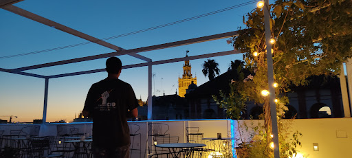 SERVITESALT - Visual