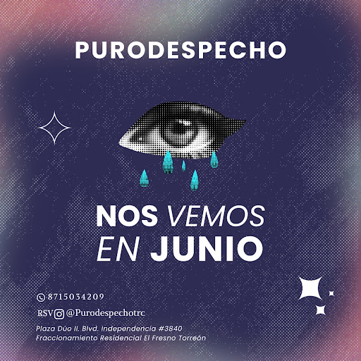 PuroDespecho - Visual