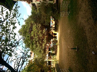 university