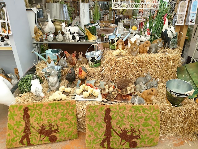 Baobab Cavaillon