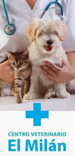 Centro Veterinario QUIRÓS -Milán