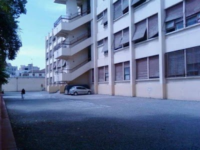 Photos of Cem Mohamed El Amine El Amoudi