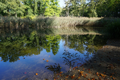 Foundation Hortus Nijmegen - Thumbnail