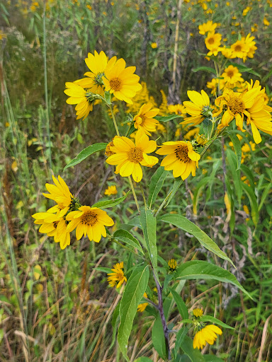August A Busch Lake #7 Gallery - United States