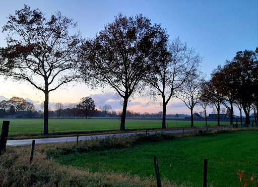 QualityView - Visual
