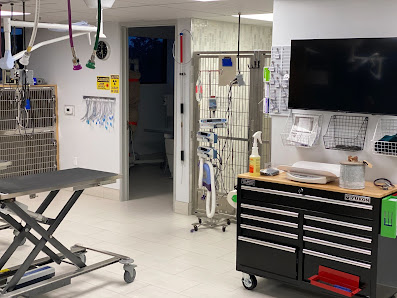 Photo of ARCHVET Animal Hospital Todas