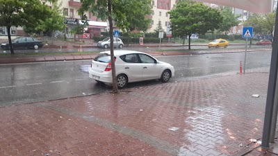 Photos of kaymaz gıda