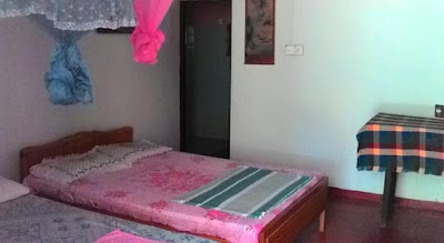 Photos of Little Dream