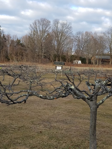 Abraham Nichols Park - Thumbnail