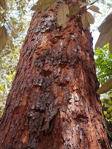 Millstream Conservation Park - Visual