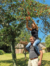 Photo n°19 de La ferme des douceurs - Gîtes de France à Cervon (Maison d'hôtes)