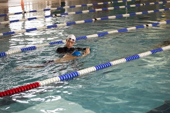 ESF Sharks Swimming Lessons at Renaissance College, Author: ESF Sharks Swimming Lessons at Renaissance College