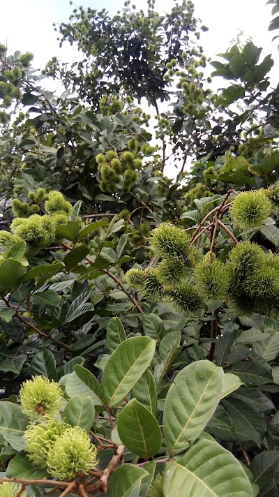 Photos of R&iacute;o Fr&iacute;o Park