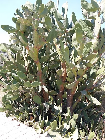 Photos of Hayvanat Bah&ccedil;esi