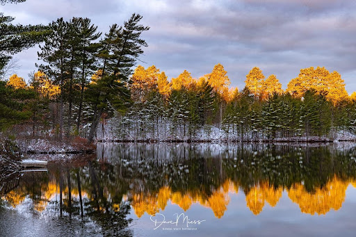 Natural Spaces Photography