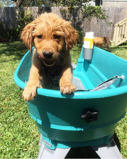 Booster Bath - Visual