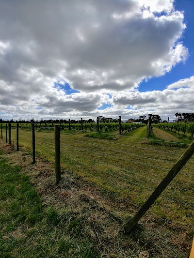 Photos of Toast Martinborough