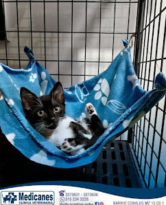 Fotografía de Clinica Veterinaria Medicanes Servicio 24 Horas Gato
