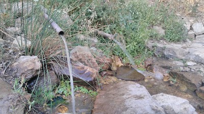 Photos of مەمیدان
