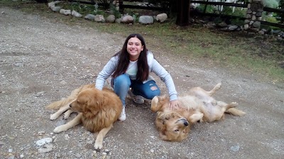 Photos of Complejo Pinares