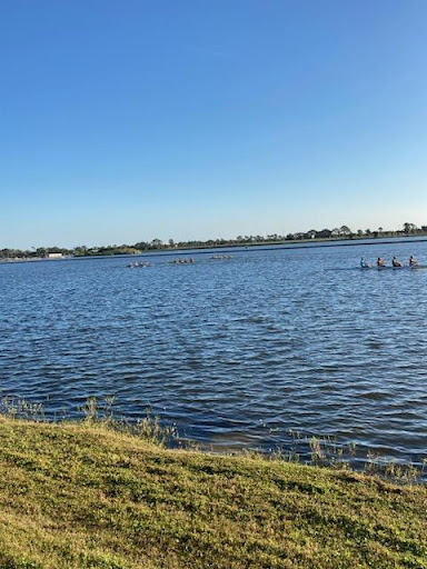 Benderson Park - Visual