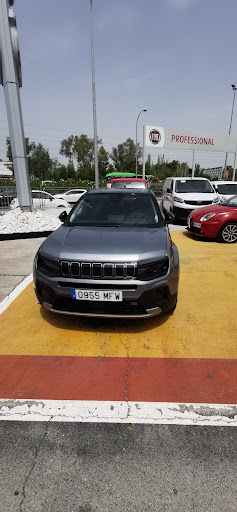 Fiat Professional - Visual
