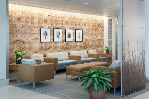 BC Decorators - Visual