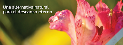 Photos of Recuerdo - Corrientes Park