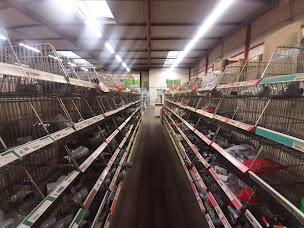 Photo n°14 de Téréva Dardilly à Dardilly (Magasin de gros)