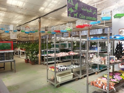 Photos of P&eacute;pini&egrave;re Garden Center