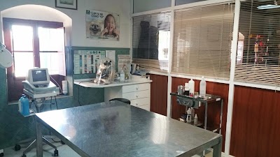 veterinary-care
