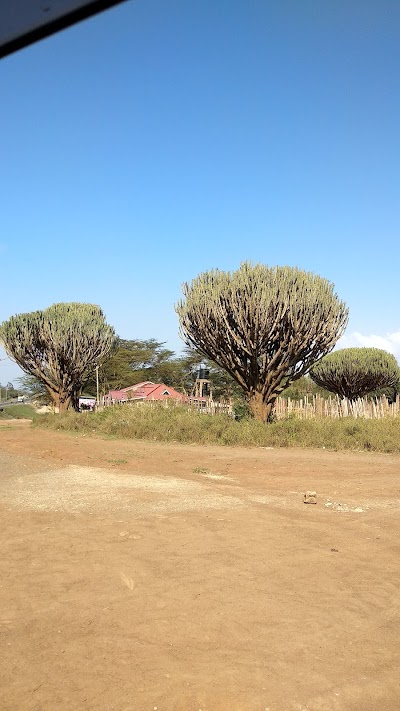 Photos of Georges resort