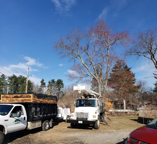 1 2 Tree Company