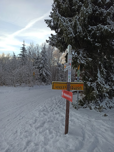 Schornhecke - Thumbnail