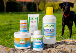 Photo n°4 de Bio Morvan à Tanzac (Magasin d'alimentation bio)