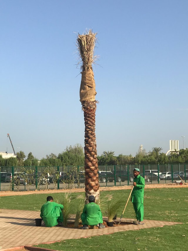 The Ripe Market- Dubai Police Academy