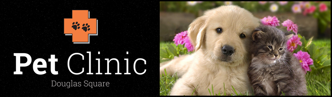 Douglas Square Pet Clinic