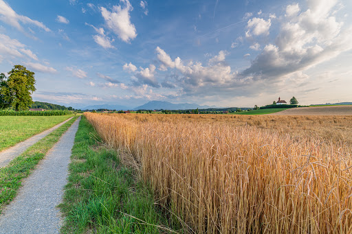 Gemeindeverwaltung Hochdorf - Thumbnail