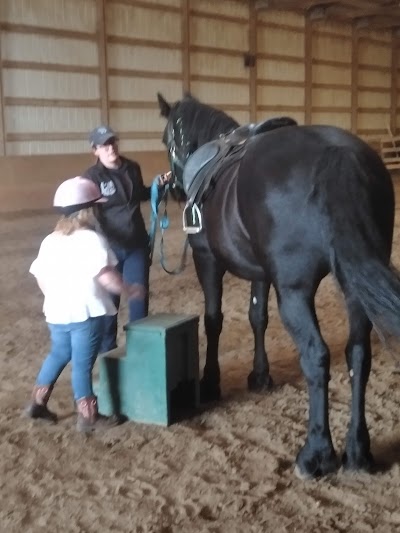 Chasing Laurels - Riding Lessons , Horse Boarding , & Training