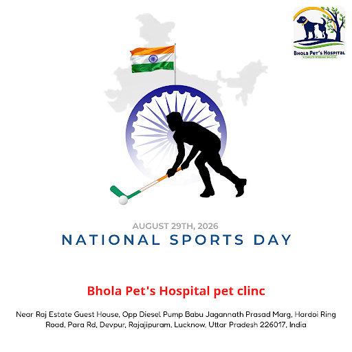 Celebrate National Sports Day by giving your pets the care they deserve. Visit Bhola Pet's Hospit… post image