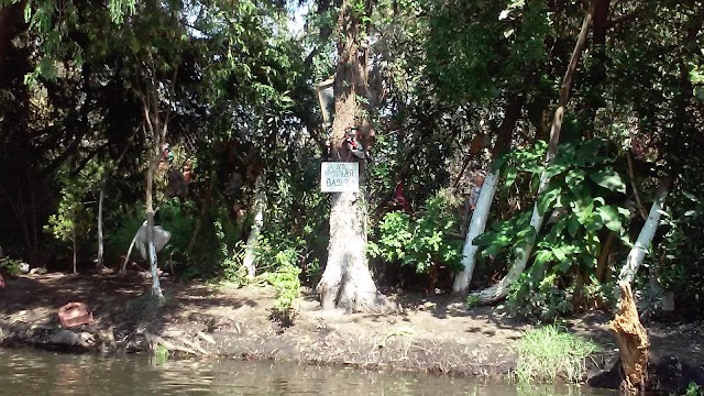 Floating Gardens of Xochimilco
