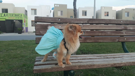 Veterinaria pet love