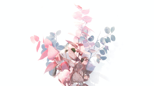 SK Cosmetics